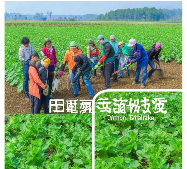 DB33/T 2478-2022，节瓜绿色生产技术规程，推动节瓜产业持续发展,DB33/T 2478-2022，节瓜绿色生产技术规程，推动节瓜产业持续发展,病虫害防治,技术规程,第1张